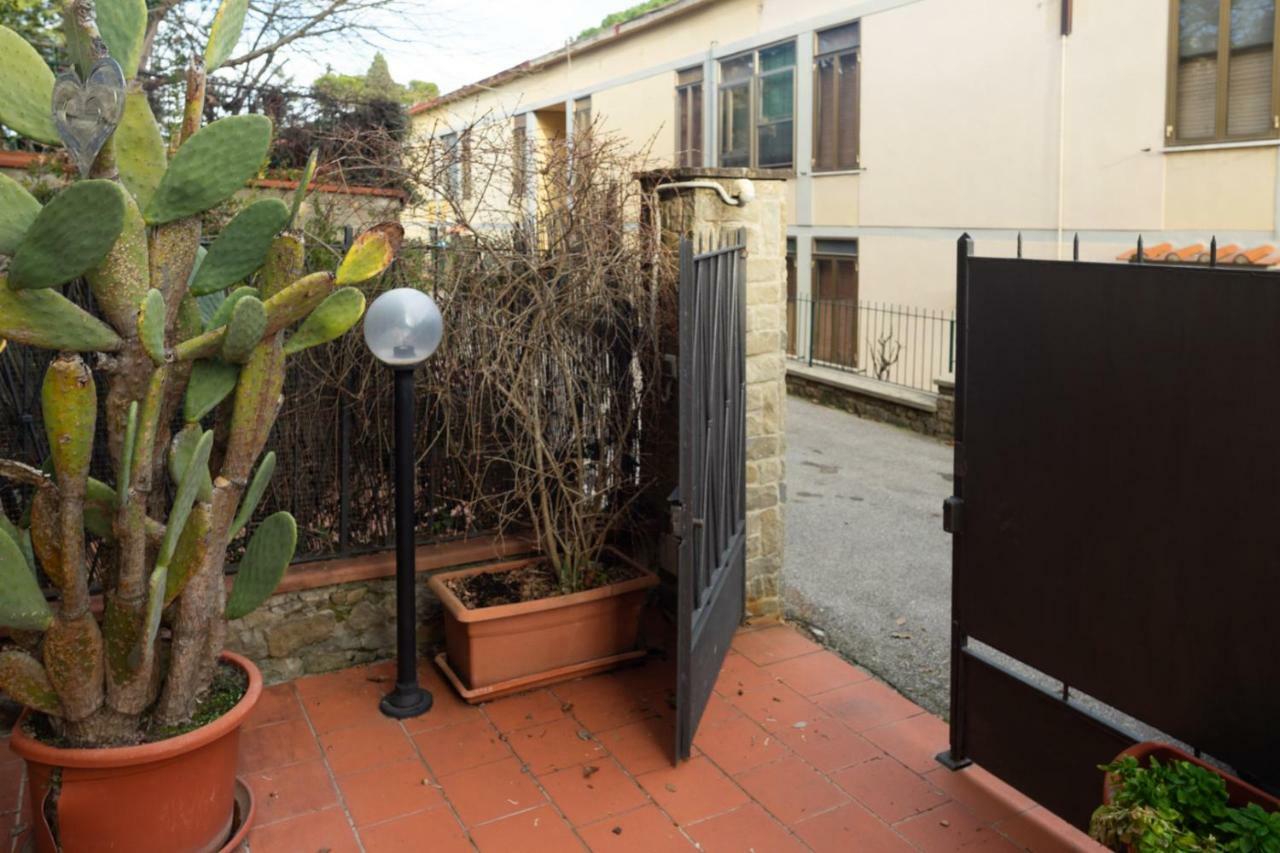 Green Corner In City Appartement