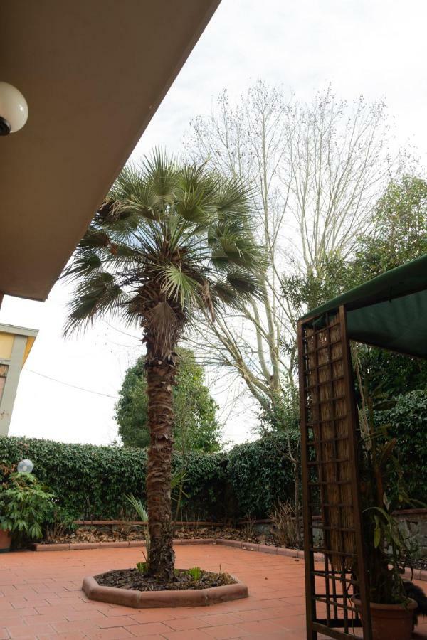 Green Corner In City Florence