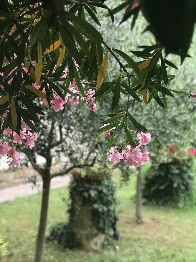 La Casa Di Claudia Florenz