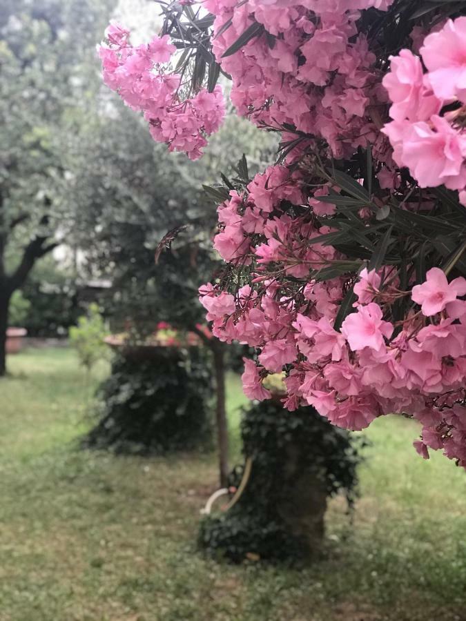 La Casa Di Claudia